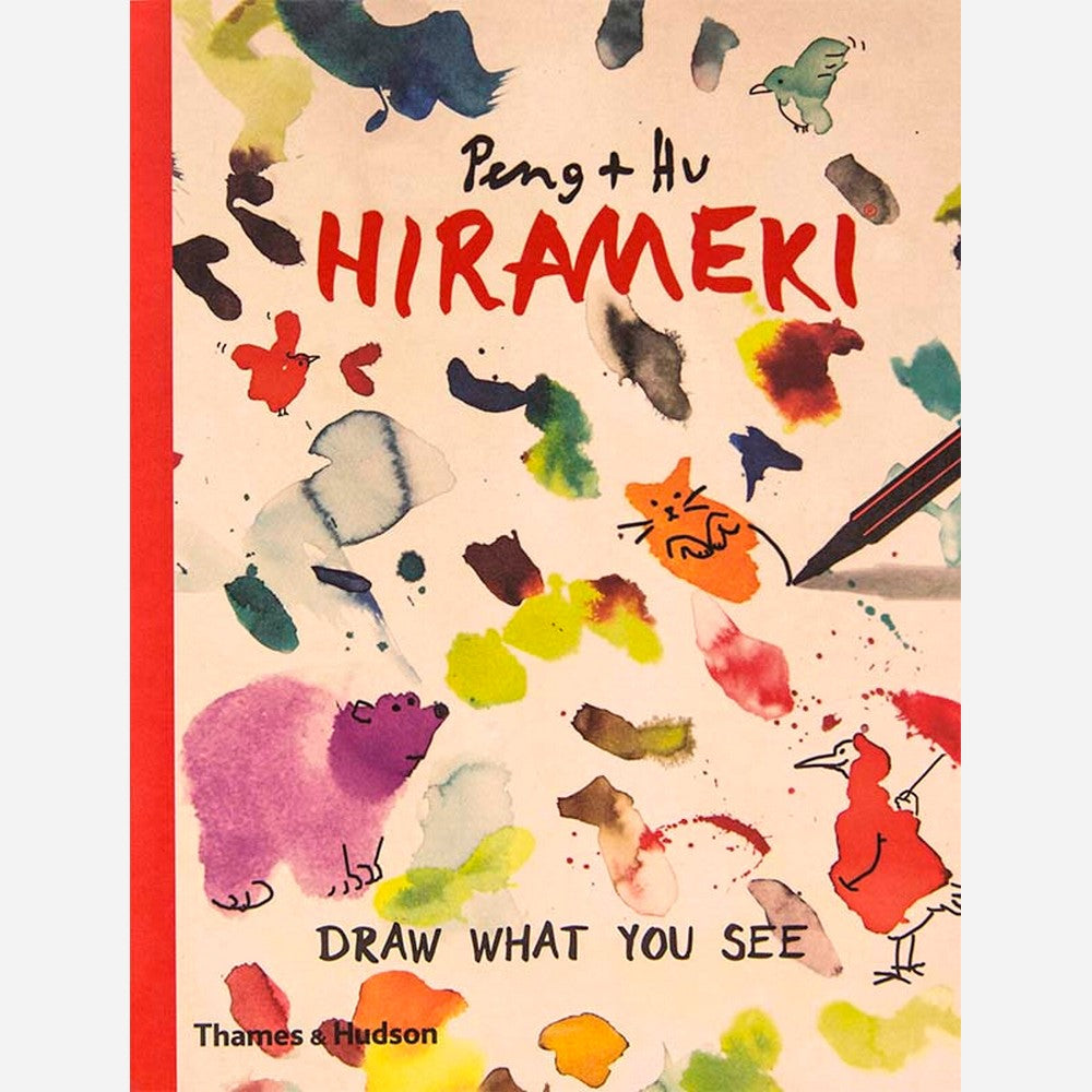 Hirameki: Draw What You See