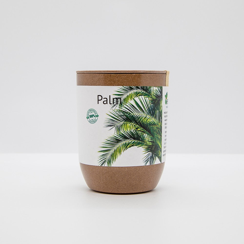 Palme ecocan