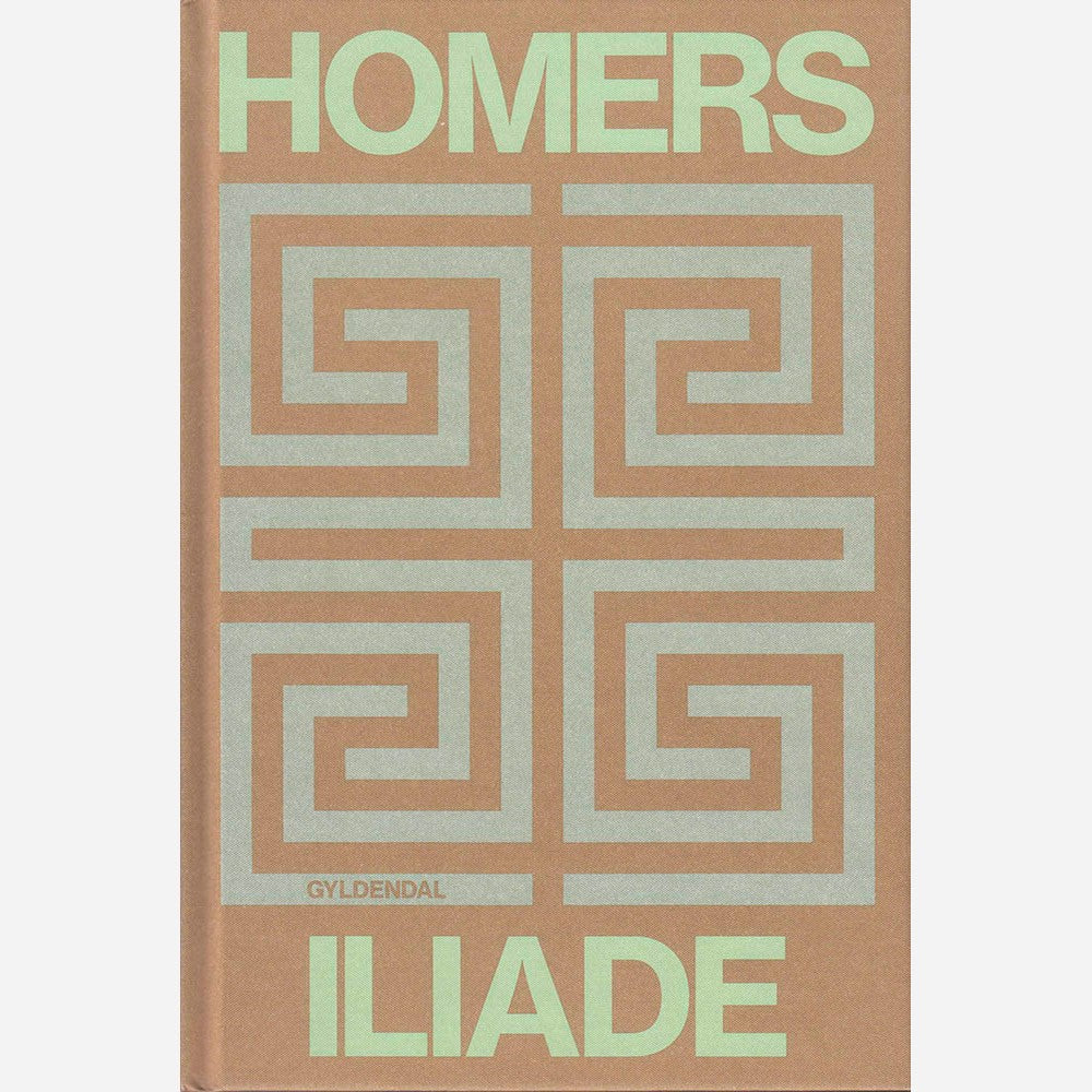 Homers Iliade