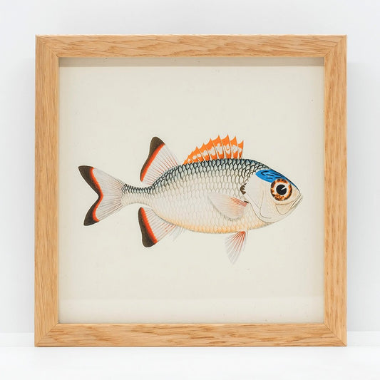 Mini print i egetræsramme – fisk