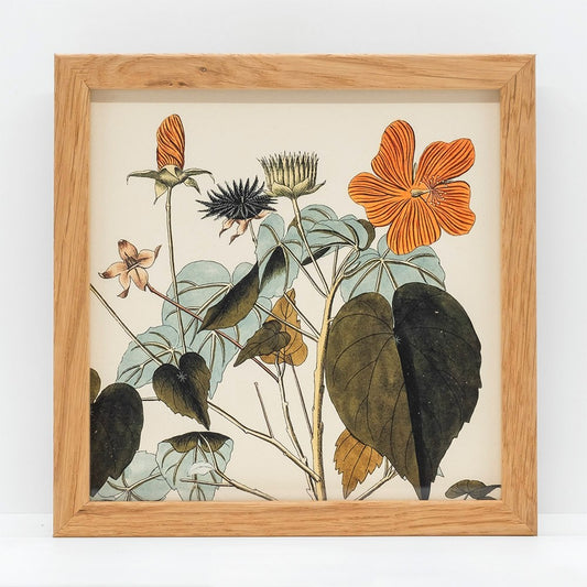 Mini print i egetræsramme – orange blomst