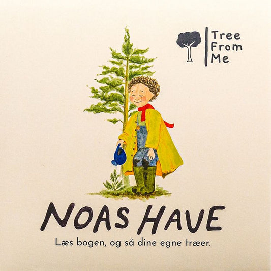 Noahs have
